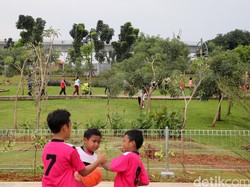 Penambahan Ruang Terbuka Hijau Jakarta Terancam Gagal Penuhi Target?