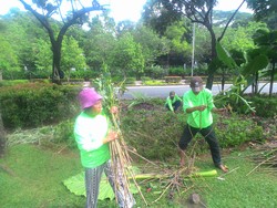 Bertemu Lagi dengan Tuti, Pekerja Taman yang Pikat Ahok karena Usir Pendemo