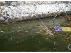 Mayat Perempuan di Telaga Ngebel Ponorogo Berkaos Kuning dan Celana Biru