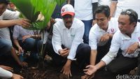 Djarot dan Relawan Benahi Taman Depan Balai Kota