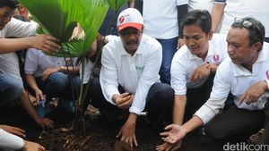 Djarot dan Relawan Benahi Taman Depan Balai Kota