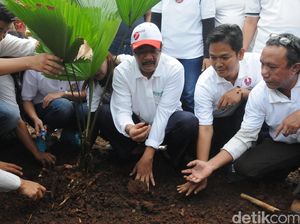 Djarot dan Relawan Benahi Taman Depan Balai Kota