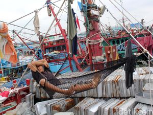 Pengusaha Ini Minta Susi Izinkan Penggunaan Cantrang