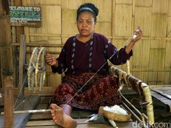 Pengusaha RI Diajak Investasi Kapas Genjot Ekspor ke Sudan