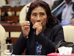 Keberanian Susi Gebuk Maling Ikan Hingga Dipuji Leonardo DiCaprio