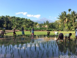 Tete Batu, Ubud-nya Lombok