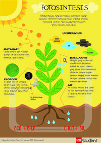 Mengenal Fotosintesis: Pengertian, Syarat, Faktor, Dan Mekanisme ...
