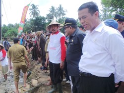 Dua Tahun Jokowi-JK, Mentan: 76% Petani Puas