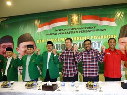 Disebut Dukung Ahok Demi Pengakuan Pemerintah, PPP Kubu Djan: Kami Ikhlas!