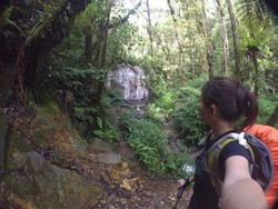 Petualangan Romantis ke Gunung Gede dan Pangrango