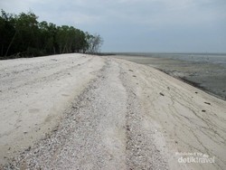 Pilihan Pantai Pasir Putih yang Cantik di Asahan