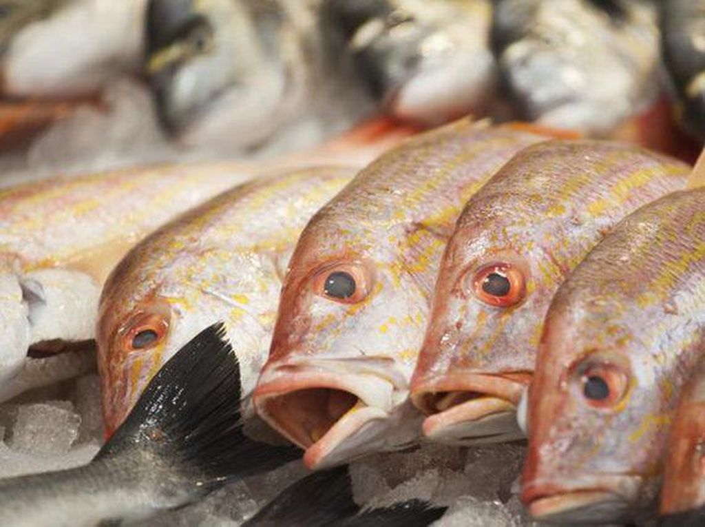 Mitos atau Fakta? Konsumsi Ikan dan Susu Bisa Bikin Masalah Kulit Mitos atau Fakta? Konsumsi Ikan dan Susu Bisa Bikin Masalah Kulit