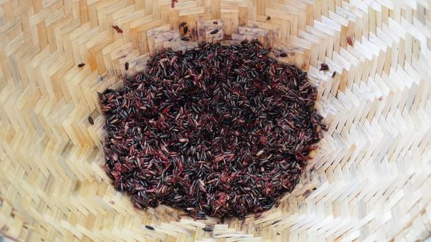 Ini Rahasia Bikin Bubur Ketan Hitam yang Lembut dan Legit