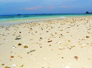 Lampung Gelar Festival Puhawang Teluk Ratai Pertama Kali