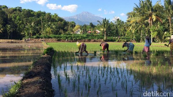 Katanya Sih, Ubud-nya Lombok