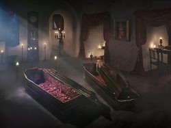 Tidur di Peti Mati dan Jadi Drakula, Berani?