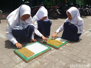 Tiga Siswi MTs ini Ciptakan Obat Nyamuk Elektrik Berbahan Alang-alang