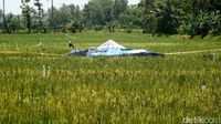 Pesawat Latih yang Jatuh di Cilacap Ditutupi Terpal