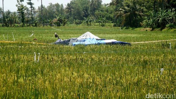 Pesawat Latih yang Jatuh di Cilacap Ditutupi Terpal