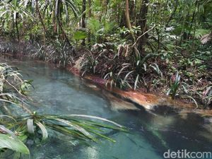 Sungai Biru Ajaib dari Raja Ampat