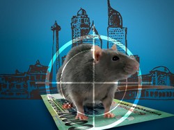 Tolak Anggarkan Perburuan Tikus di APBD, M Taufik: Masa Tikus Diburu?