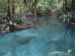 Heboh Sungai Biru Ajaib dari Raja Ampat!