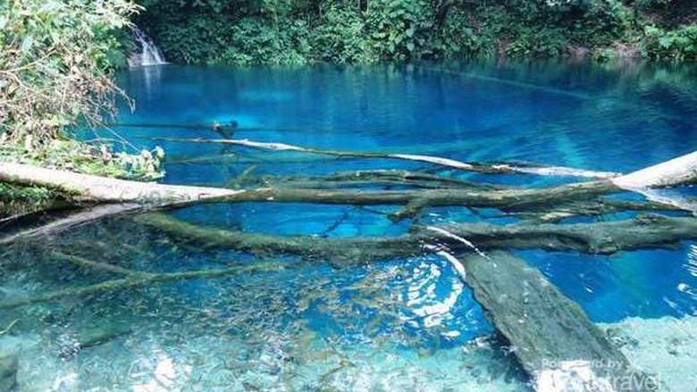Foto: Danau Kaco yang jernih di Jambi (Juli Juhendi/dTraveler) Foto: Danau Kaco yang jernih di Jambi (Juli Juhendi/dTraveler)