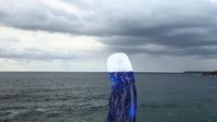 Patung Keren nan Unik di Pantai Sydney