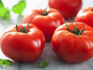 10 Fakta Unik Tentang Tomat yang Perlu Kamu Tahu