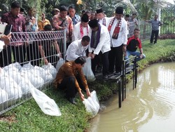 Ahok Klaim Orang Jakarta Paling Bahagia se-Indonesia