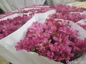 So Sweet, Agus Beli Mawar di Rawa Belong Buat Annisa Pohan