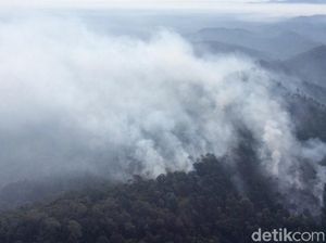 Kebakaran Hutan, Tanggung Jawab Siapa?