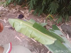 Sesosok Pria Ditemukan Bersimbah Darah Diduga Korban Pembunuhan