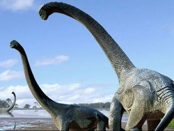 Ditemukan di Australia, Dinosaurus Titanic Seukuran Setengah Lapangan Basket