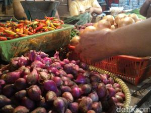 Curah Hujan Tinggi, Harga Cabai Naik Hingga Rp 60.000/Kg Curah Hujan Tinggi, Harga Cabai Naik Hingga Rp 60.000/Kg