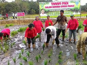 Mentan Amran Marahi Petani yang Malas Bertani