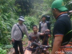 Polres Siak Tangkap 3 Pelaku Illegal Logging, 4 Kubik Kayu Berhasil Disita