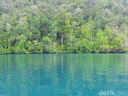 Ingin Tarik Wisnus, Tarif Jasa Lingkungan ke Raja Ampat Akan Turun di 2017