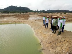 Kunjungi Belitung, Pimpinan MPR Sambangi Eks Lahan Tambang Timah di Bangka