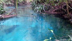 Foto: Sungai Berwarna Biru di Raja Ampat