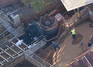 Wahana Arung Jeram di Australia Tewaskan 4 Orang Wahana Arung Jeram di Australia Tewaskan 4 Orang