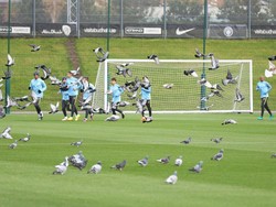 Ketika Latihan City Diinvasi Sekawanan Merpati