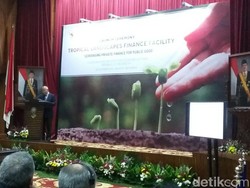 Lembaga Ini Siapkan Pinjaman Lunak Rp 13 T untuk Bantu Petani RI