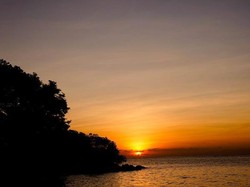 Bama, Keindahan Pantai Tersembunyi di Taman Nasional Baluran