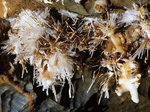 Penampakan Gua Alien di Slovakia