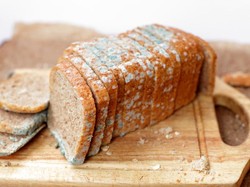 Jangan Langsung Dibuang, Makanan Berjamur Ini Masih Bisa Dikonsumsi