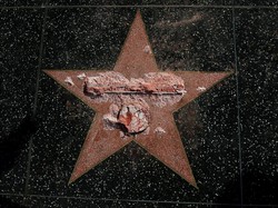 Keluarganya Korban Kekerasan Seks, Pria Ini Merusak Bintang Donald Trump