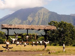 Ini Kata Kementerian LHK Soal Minimnya Toilet di Area Taman Nasional