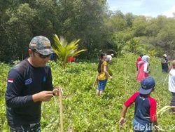 Kaum Muda di Banyuwangi Tanam Cemara Udang Peringati Sumpah Pemuda