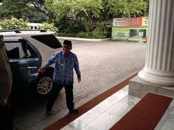 Plt Gubernur DKI: Duit untuk Berburu Tikus Akan Masuk APBD DKI 2017